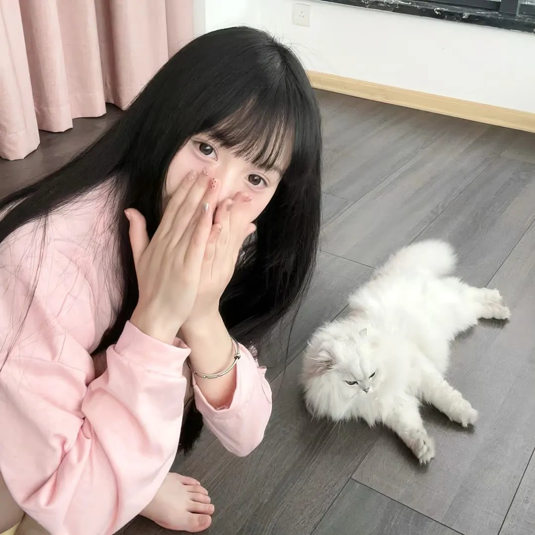 四光猪现蠢记