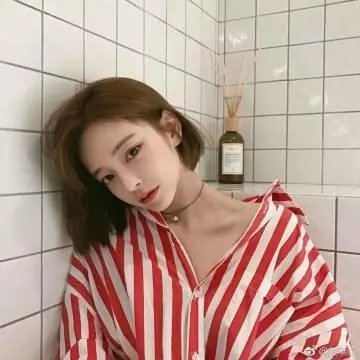 海蒂
